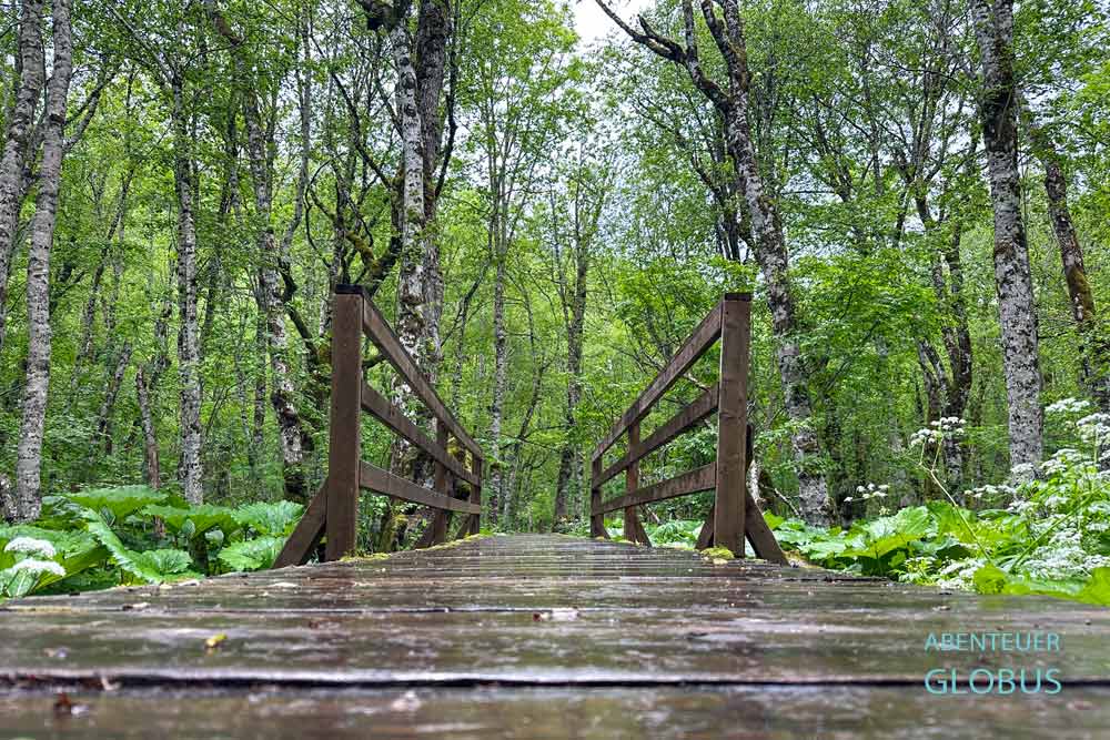 Nationalpark Biogradska Gora: Wandertour um den See Biogradsko