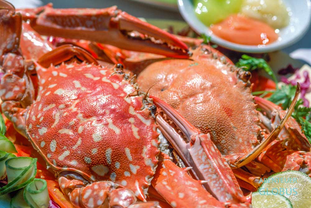 Insel Phu Quoc, Hauptort Duong Dong: Seafood auf dem Nachtmarkt (Duong Dong Phu Quoc Night Market)