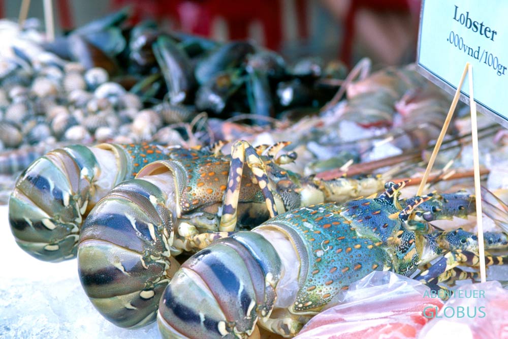 Insel Phu Quoc: Hummer auf dem Duong Dong Night Market