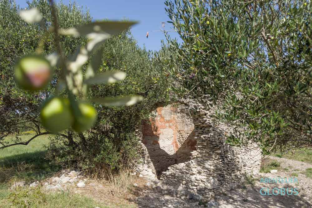 Halbinsel Gradina: Römische Zisterne im Archäologischer Park Colentum der ehemaligen römischen Stadt Colentum