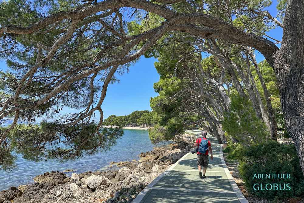 Brela an der Makarska Riviera: Promenade am Strand Punta Rata