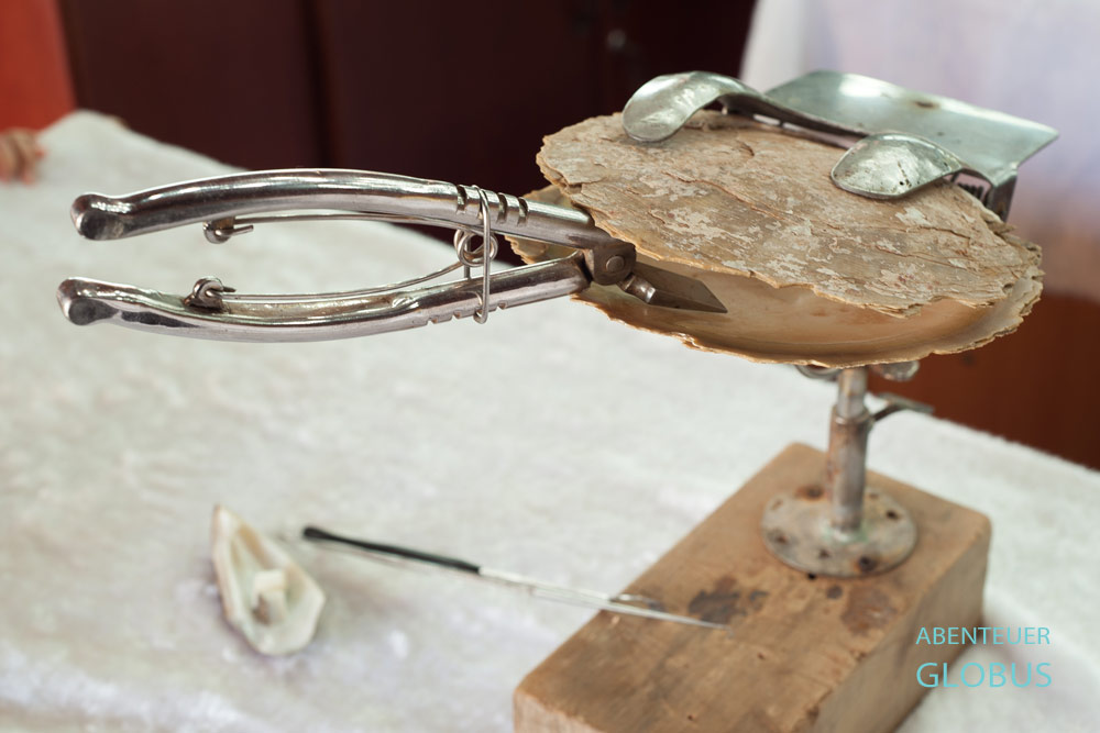 Insel Phu Quoc: Ausflug auf einer Perlenfarm