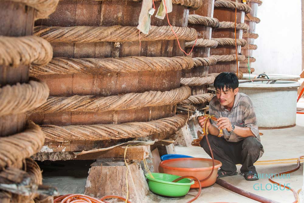 Ausflug auf der Insel Phu Quoc in eine Fischsaucenfabrik
