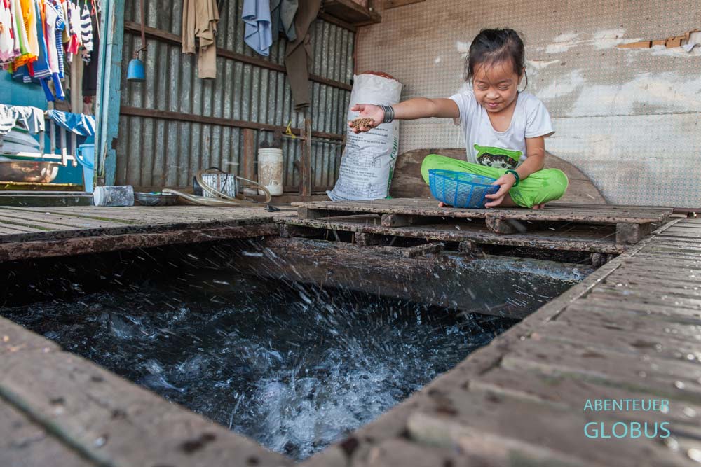 Fischzucht unter dem Wohnzimmer eines schwimmenden Hauses in Chau Doc: Fütterung