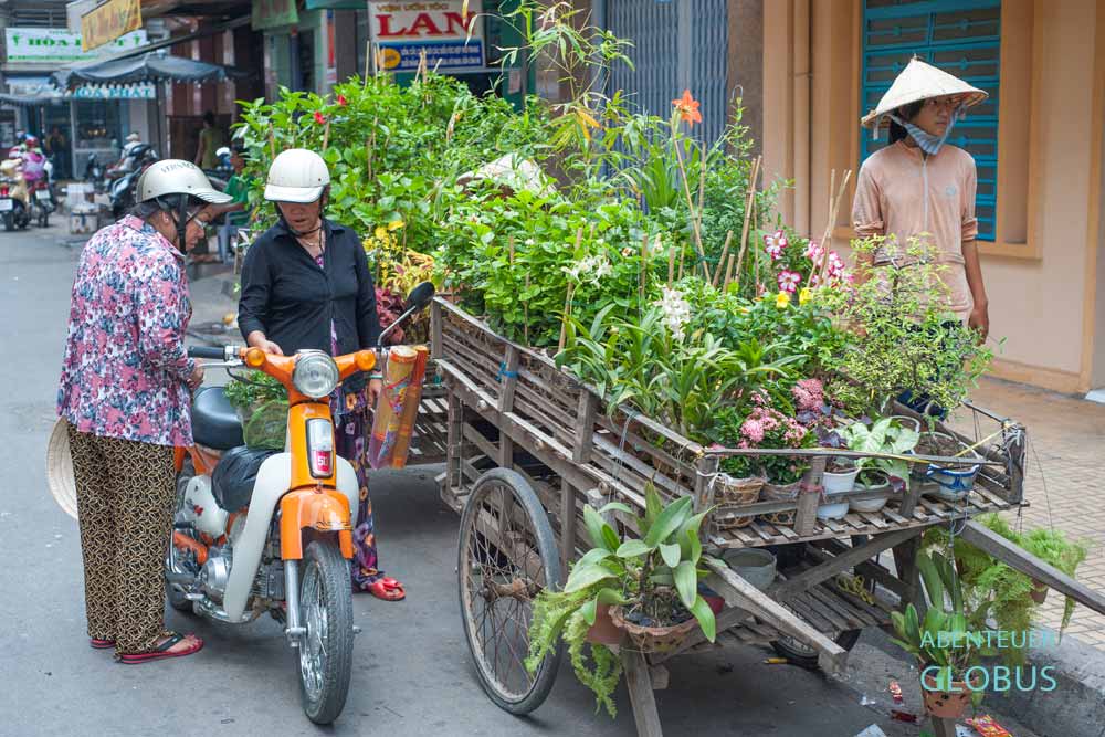 Verkauf von Grünpflanzen und Orchideen in Chau Doc