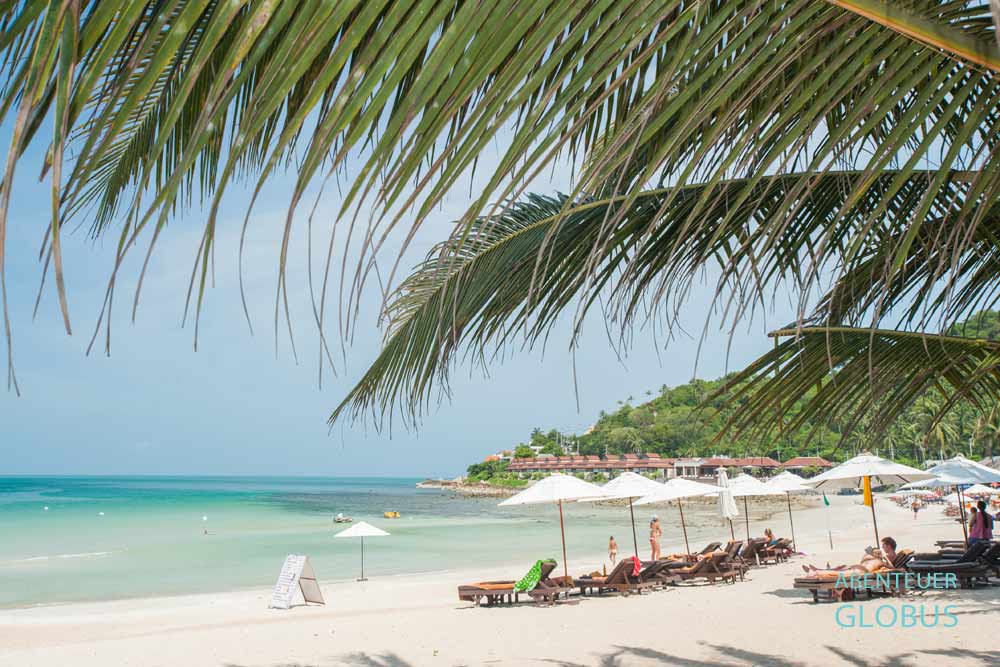 Chaweng Noi Beach mit Palmen, Sonnenschirmen und Liegestühlen