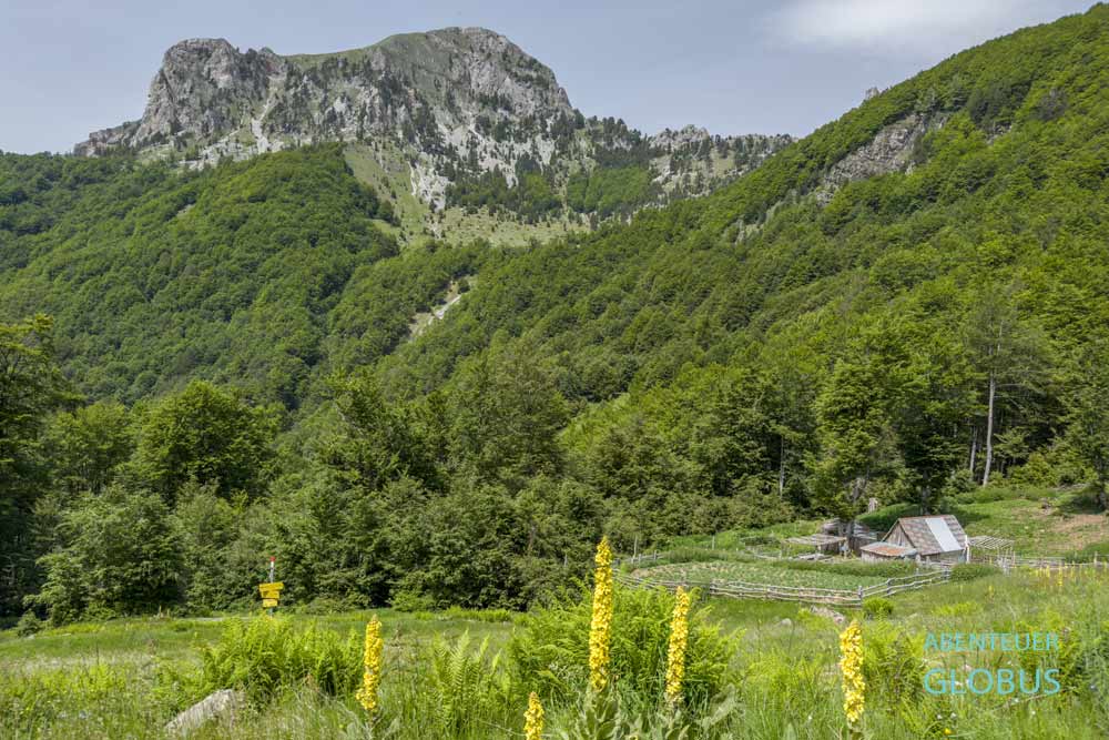 Lepushe in den Albanischen Alpen