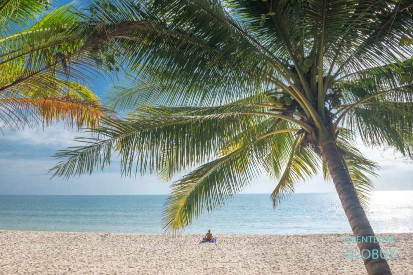 Insel Koh Rong: Pagoda Beach mit Palmen und Touristen