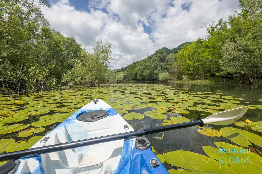 Aktivitäten von Rijeka Crnojevica, Kajaktour auf dem Skutarisee