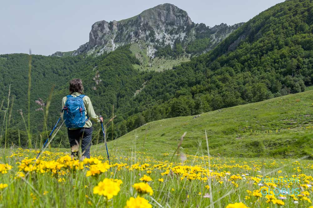 Aktivitäten in und um Lepushe (Lepusha): Wanderung zum Berggipfel Vajusha