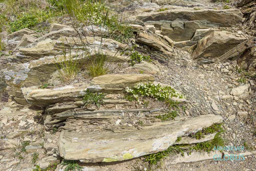 Wanderweg mit Schiefergestein auf den Berg Vajusha bei Lepushe