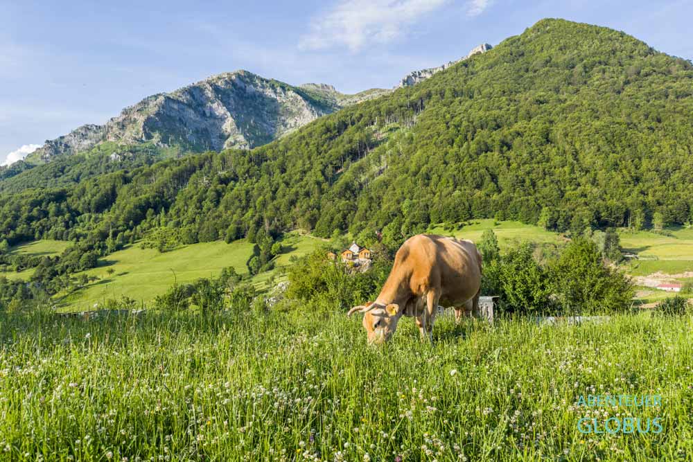 Lepushe in den Albanischen Alpen