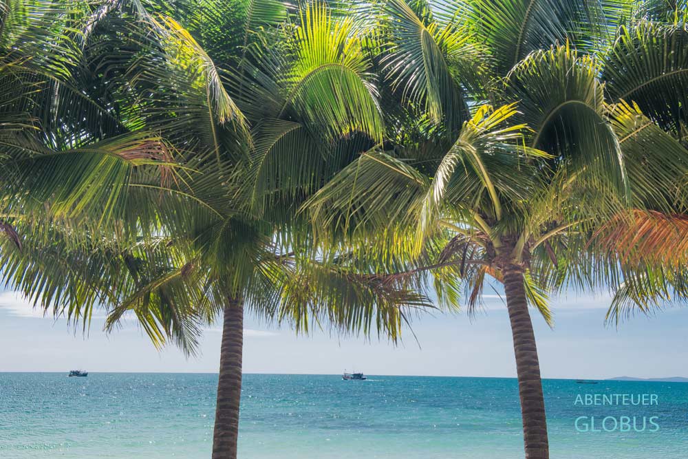 Palmen am Pagoda Beach