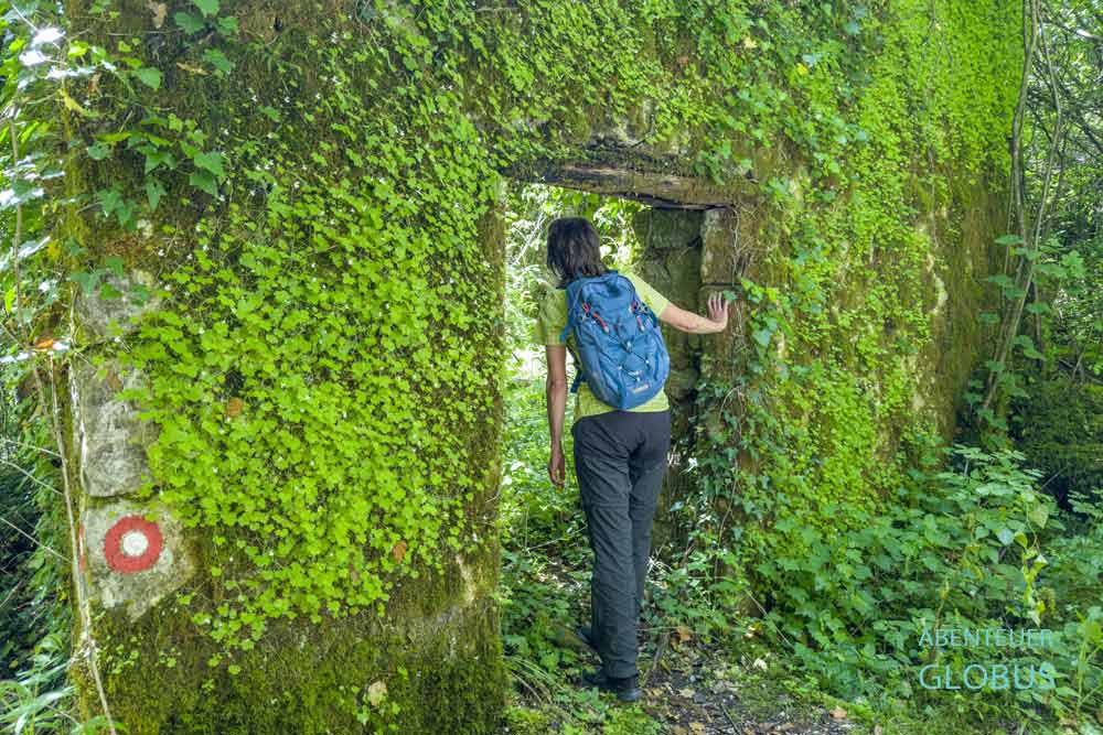Rijeka Crnojevica: alte bewachsene Wassermühle auf dem Weg zur Obod Höhle