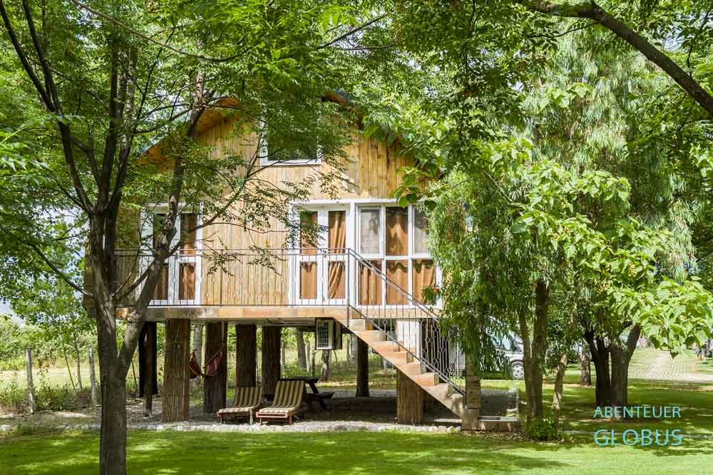 Unterkünfte in Shkodra: Baumhaus im Lake Shkodra Resort