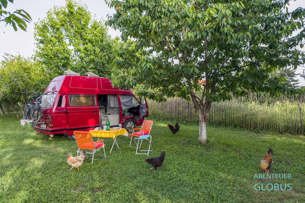 Campingplatz in Shkodra, auch Shkoder: Michis Camping