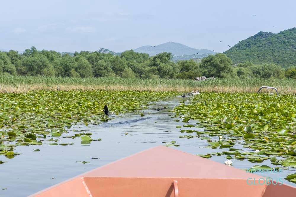 Bootstouren von Rijeka Crnojevica: Entdeckungstour auf dem Skutarisee
