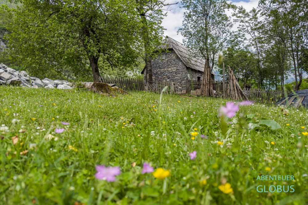 Wanderung zum Grunas Canyon in Theth: altes Steinhaus und Blumenwiese