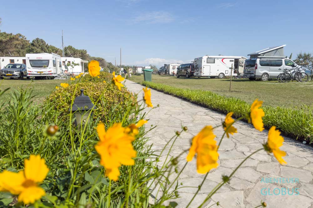 Campingplatz in Ulcinj: Safari Beach Camping am Long Beach (Velika Plaza oder Großer Strand)