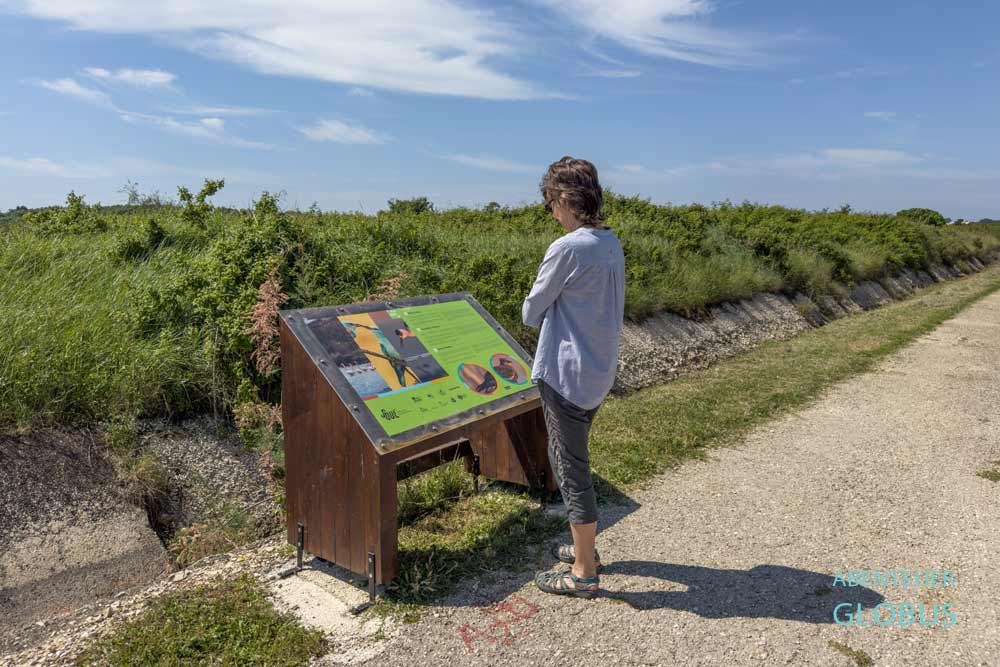 Sehenswürdigkeit in Ulcinj: Infotafel in den Salinen