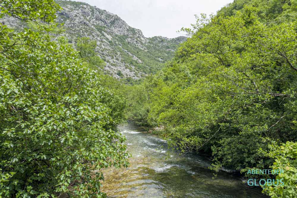 Ausflüge und Aktivitäten von Virpazar: Wanderung Orahovstica Tal bis zum Dorf Dupilo