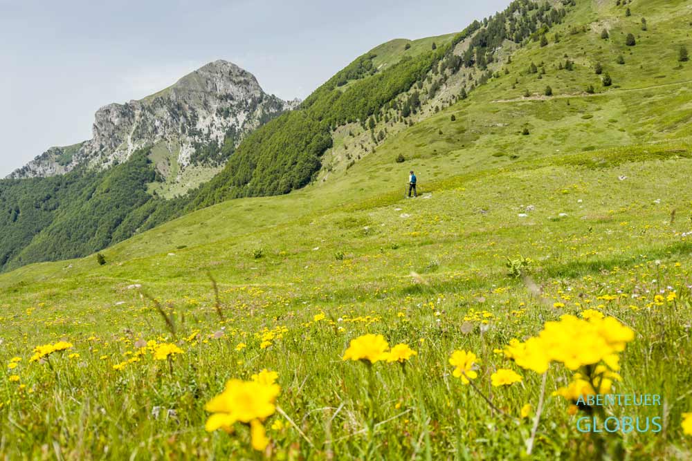 Aktivitäten bei Lepushe (Lepusha): Wandern auf den Berg Vajusha in den Albanischen Alpen