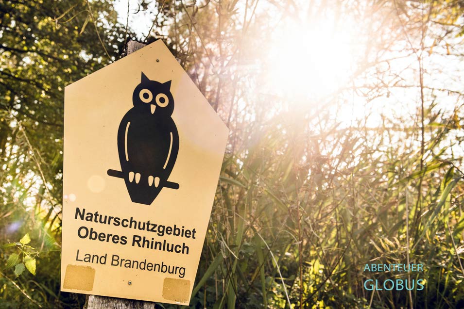 Schild für das Naturschutzgebiet Oberes Rhinluch von Land Brandenburg