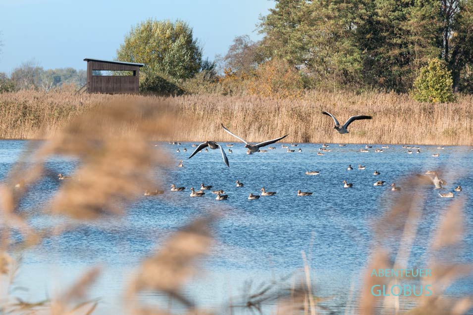 Beobachtungsturm für die Wildvögel auf den Teichen