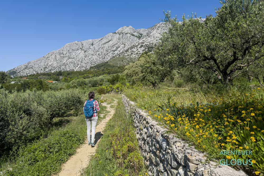 Wandertour zum Franziskanerkloster bei Orebic, Blick zum Berg Sveti Ilija
