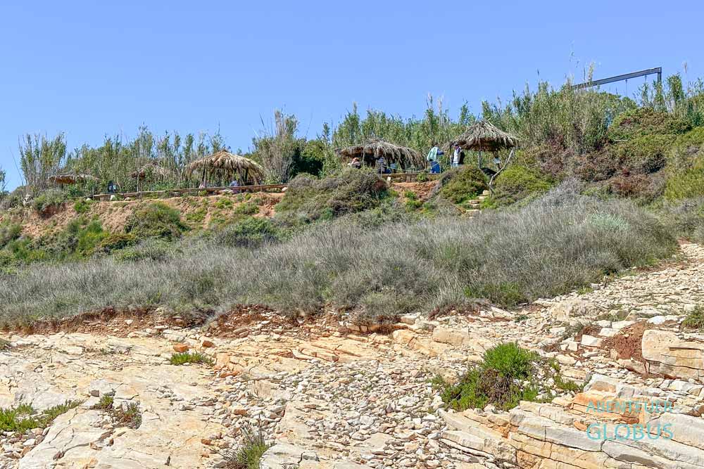 Safari Bar am Strand Mala Kolumbarica