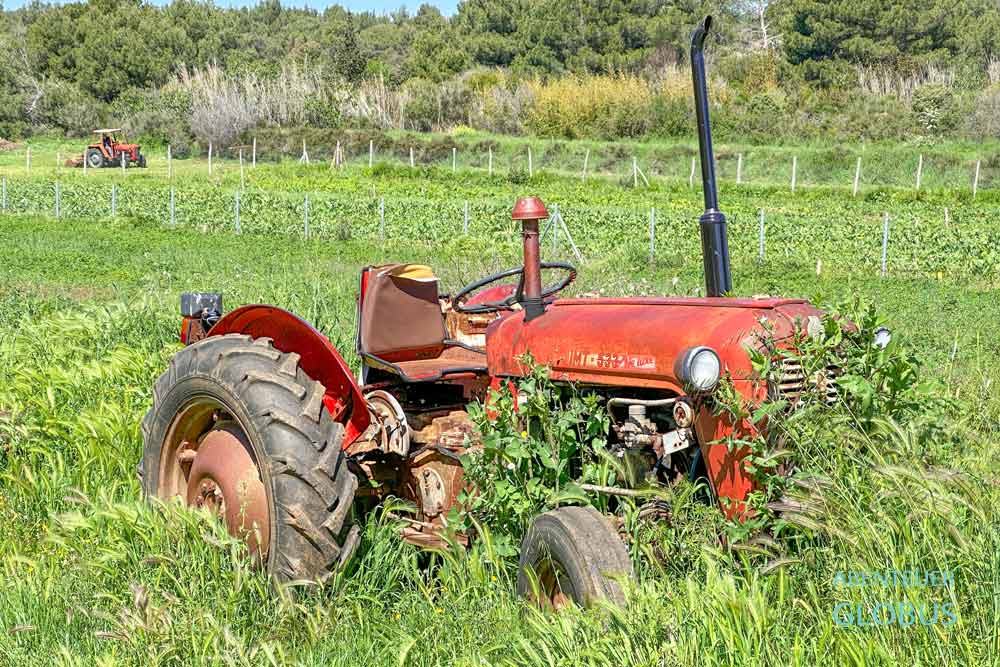 Naturpark Kamenjak in Premantura: alter Traktor auf der Farm Istarka 