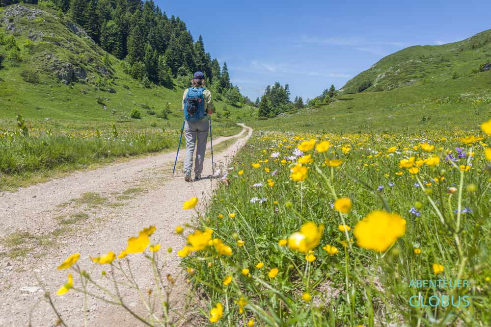 Wanderungen im Lovcen Nationalpark