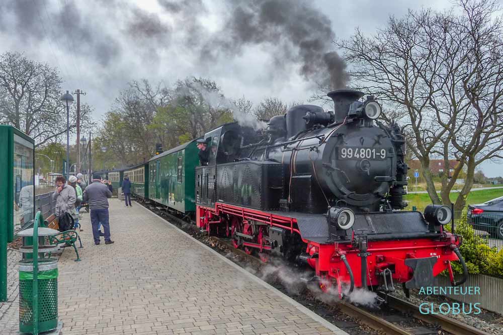 Die dampfbetriebene Schmalspurbahn Rasender Roland (Rügensche BäderBahn) pendelt zwischen Lauterbach Mole und dem Osteebad Göhren mit Halt u.a. in Binz und am Jagdschloss Granitz.