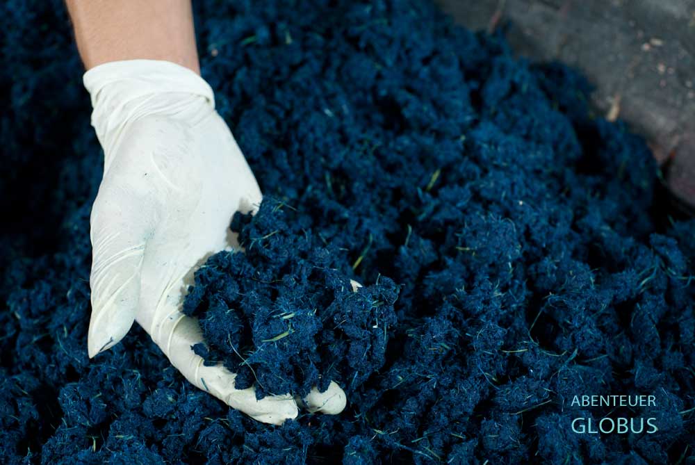 Der aufbereitete Elefantendung wird für das Papier eingefärbt.