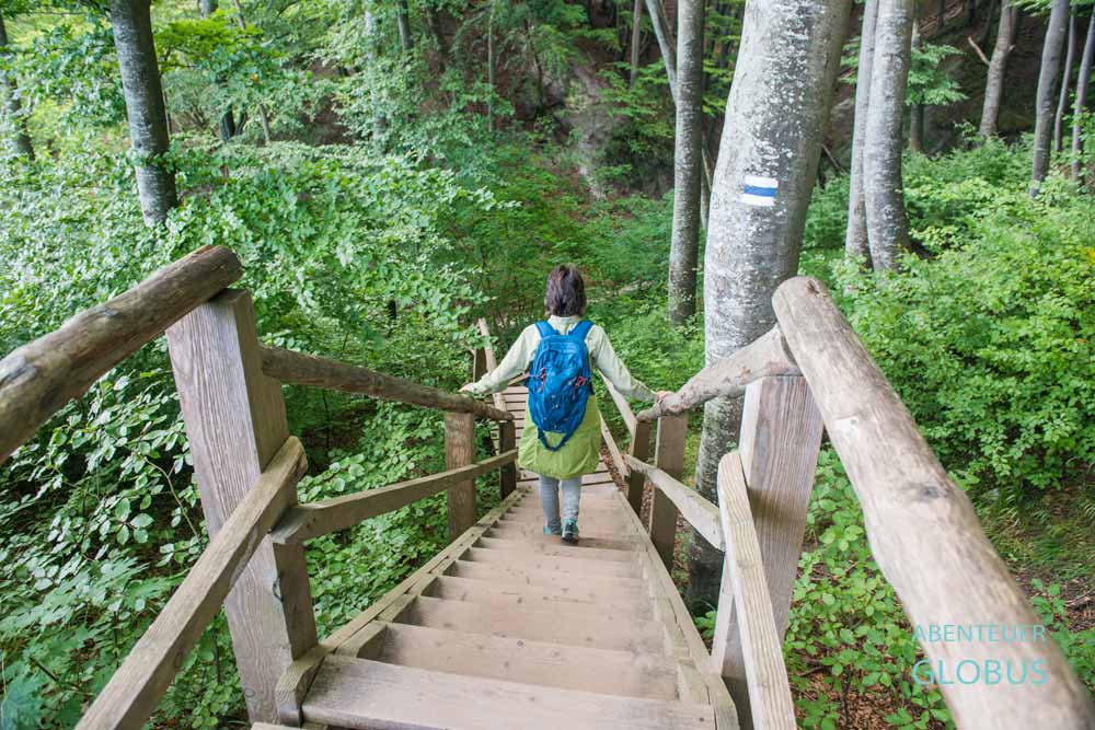 Nationalpark Jasmund, Rügen: Treppen am Hochuferweg durch den Buchenhochwald
