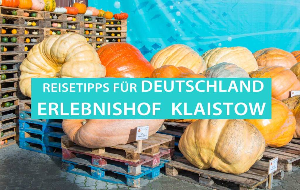 Spargelhof Klaistow: Kürbisausstellung 