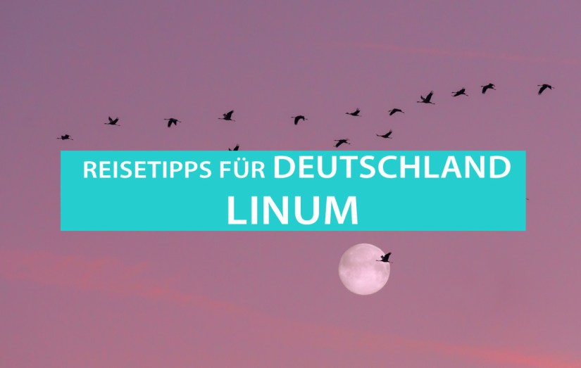 Linum: Tipps für Kraniche beobachten und Camping