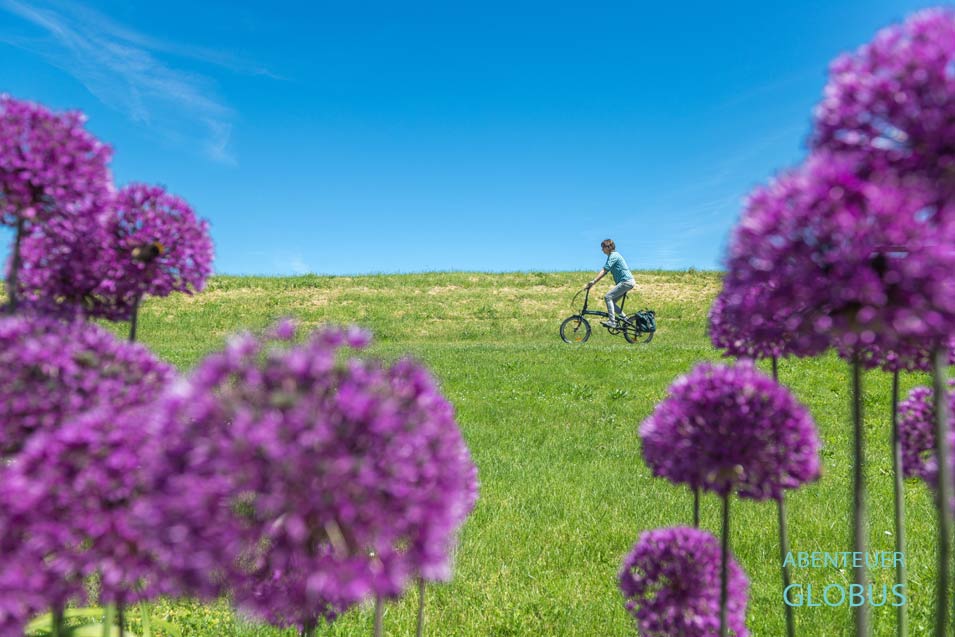 Radfahren an der Oder im Oderbruch. Radwege an der Oder nahe dem Küstriner Vorland 