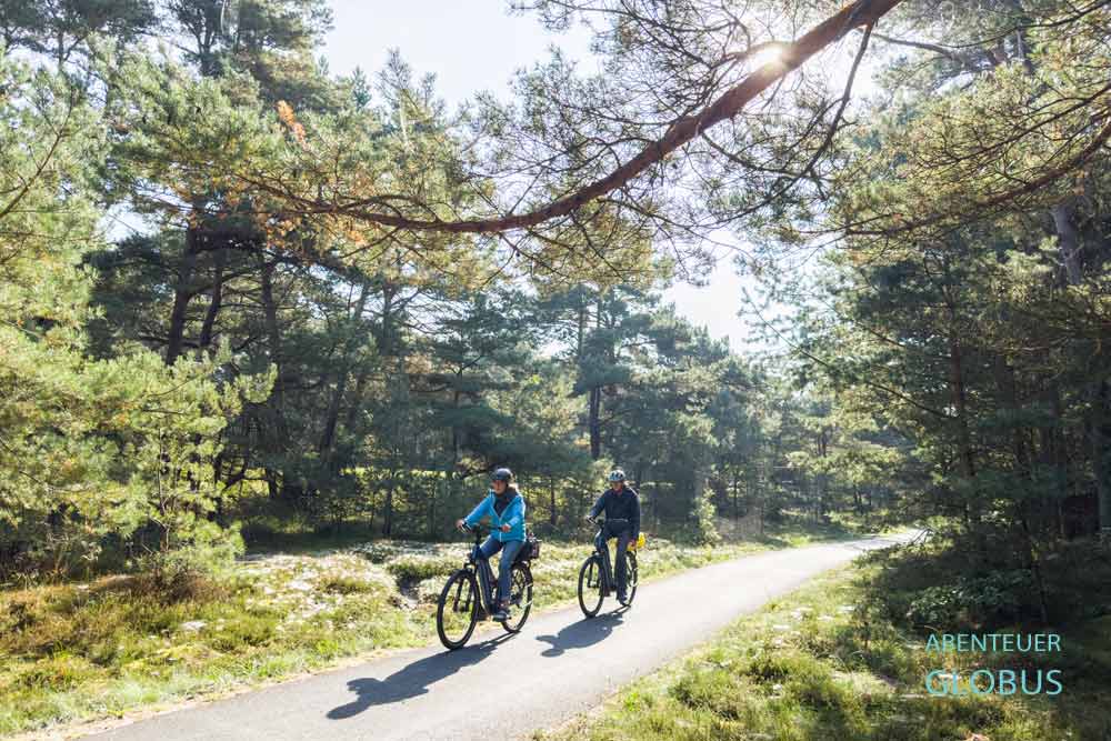 Rügen, Aktivitäten in Juliusruh: Radfahren durch den Kiefernwald der Nehrung Schaabe bis nach Glowe