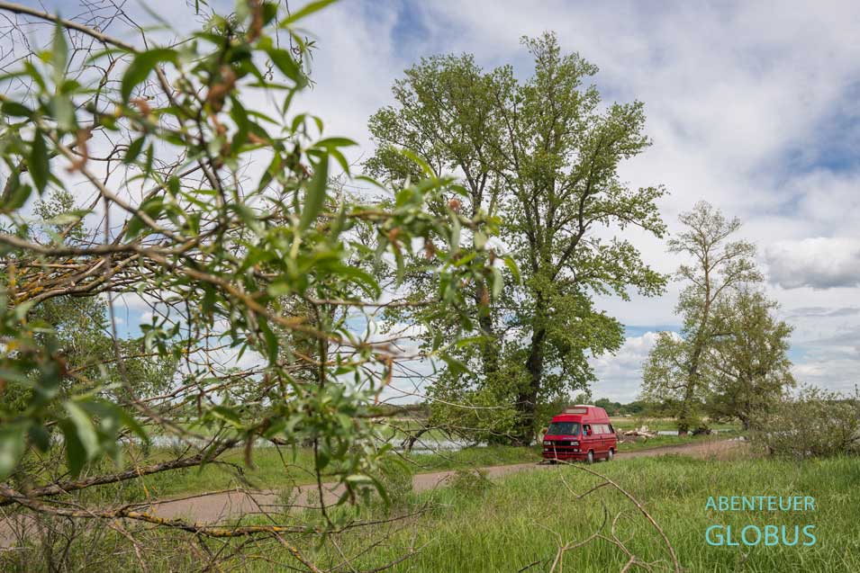 Ausflug an die Oder | Camping und Vanlife im Oderbruch