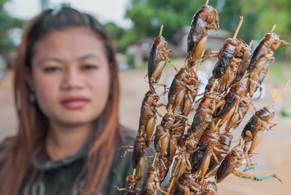 Thailändisches Essen: Insekten und Zikaden