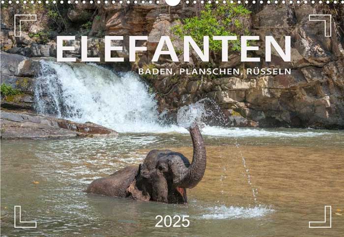 2025 Elefanten Kalender