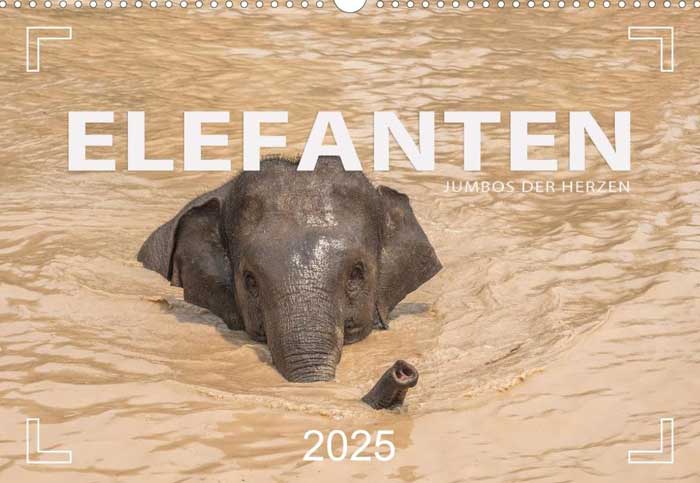 Elefanten 2025 Kalender