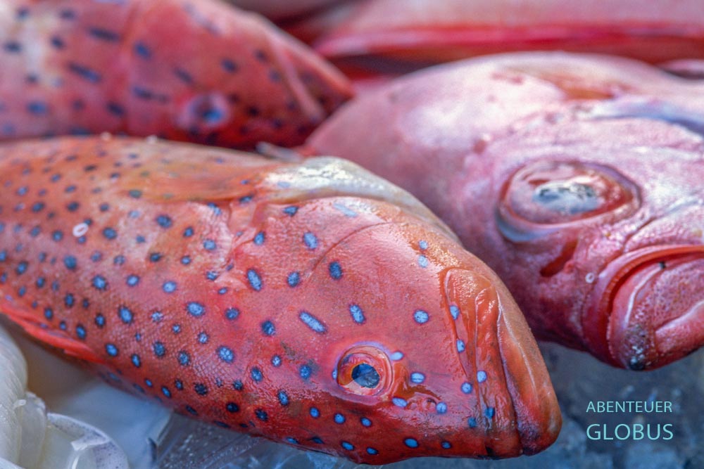 Nha Trang ist bekannt für seine große Auswahl an Fisch und Meeresfrüchten.