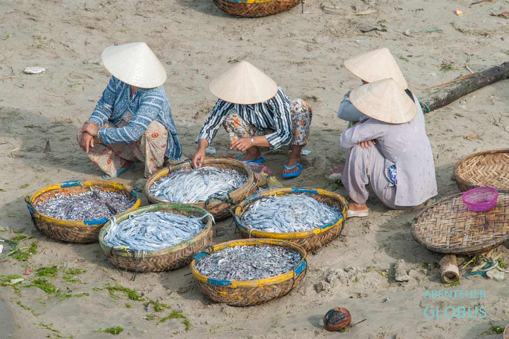 Fischverkauf am Fischereihafen
