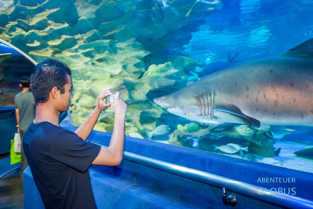 Nha Trang: Institut für Ozeanographie mit Meereskundemuseum