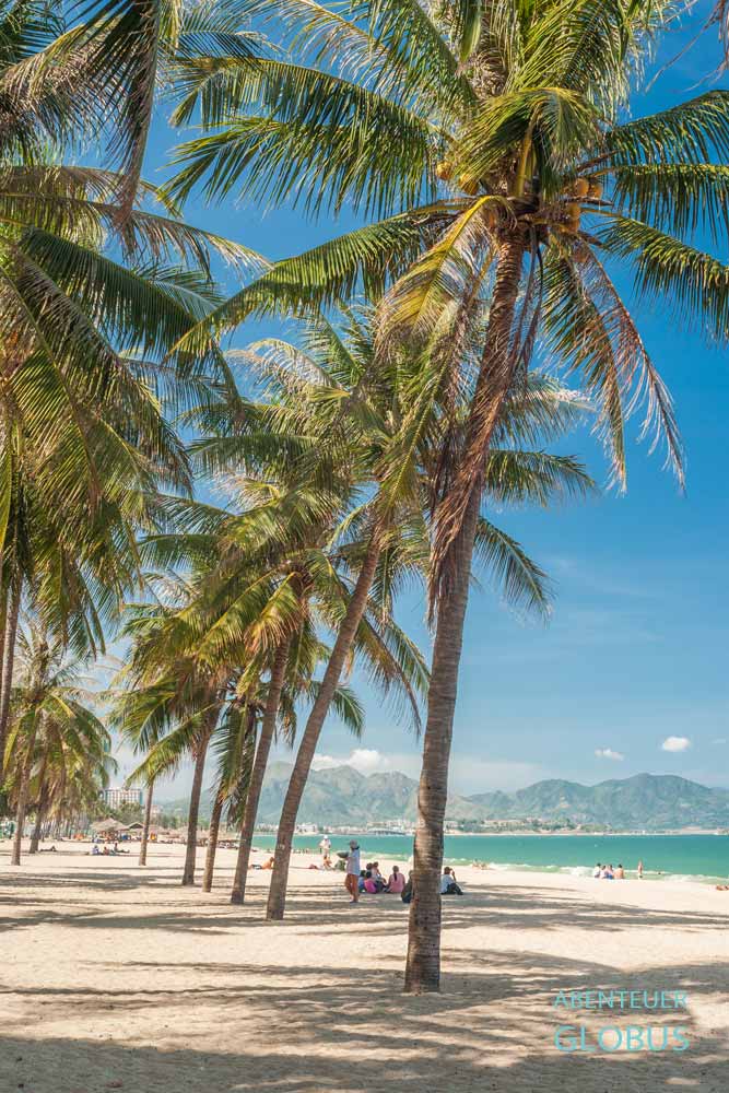 Palmengesäumter Strand von Nha Trang