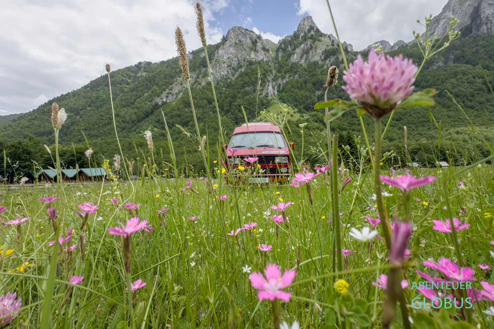 Beste Reisezeit für den Nationalpark Prokletije: Mai bis Oktober, hier Blumenwiese im Juni