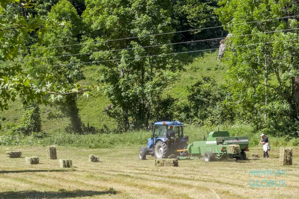 Bauern bei der Heuernte in Vusanje im Ropojana-Tal