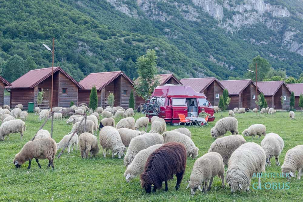 Nationalpark Prokletije, Vusanje: Eko Katun Rosi (Ethno Katun ROSSI) mit Campingplatz und Schafherde
